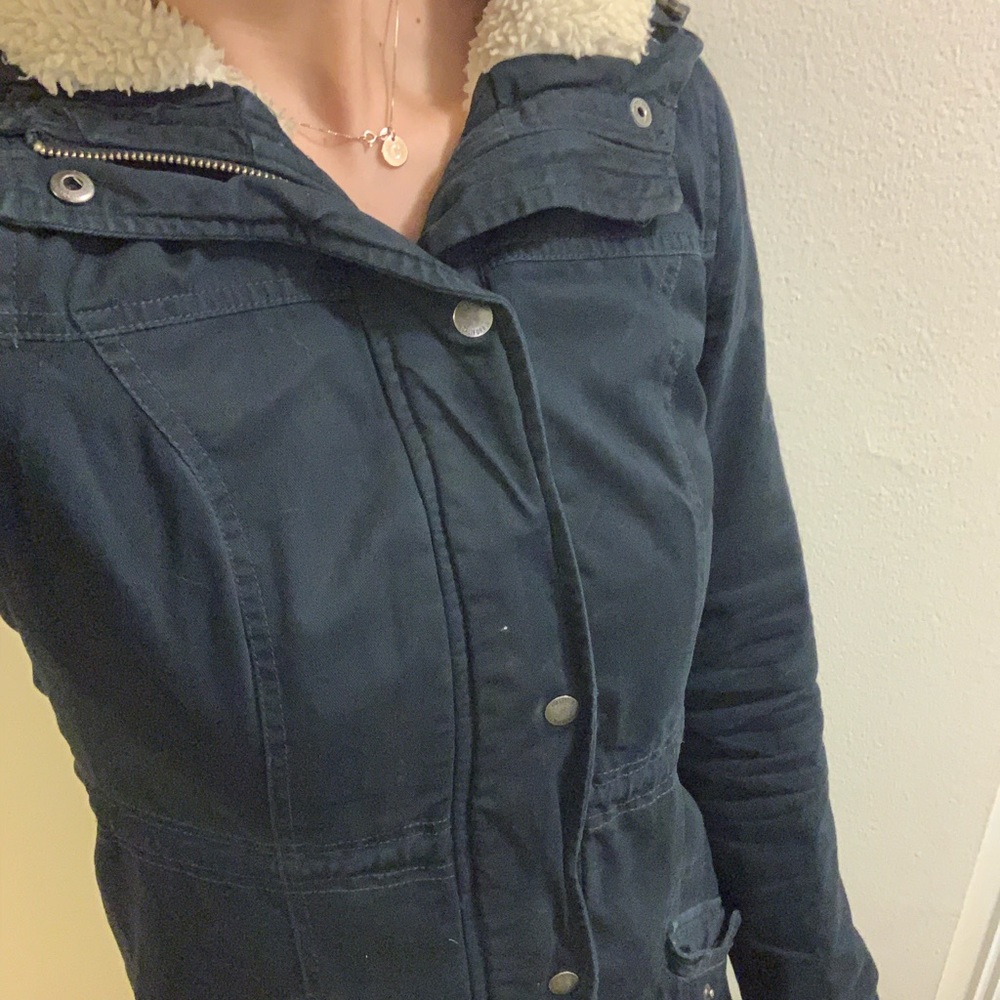 Hollister Winter Jacket - navy